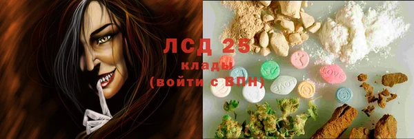 ПСИЛОЦИБИНОВЫЕ ГРИБЫ Арсеньев
