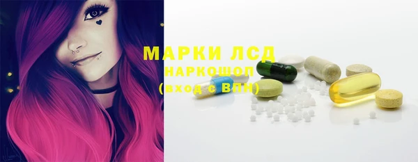 ПСИЛОЦИБИНОВЫЕ ГРИБЫ Арсеньев