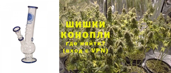 бошки Аркадак