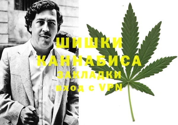 гидра Алексеевка