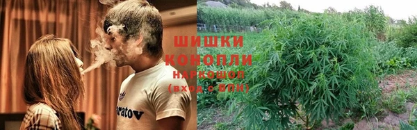 ПСИЛОЦИБИНОВЫЕ ГРИБЫ Арсеньев