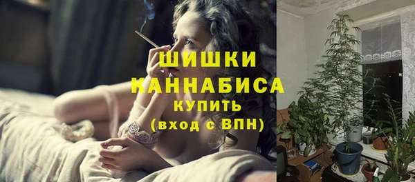 ПСИЛОЦИБИНОВЫЕ ГРИБЫ Арсеньев
