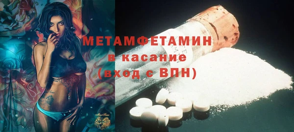 индика Костерёво